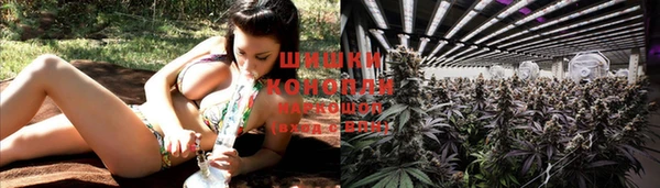 герыч Михайлов