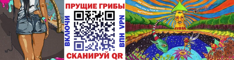 Псилоцибиновые грибы мицелий  kraken вход  Динская  купить наркоту 